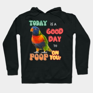 Rainbow lorikeet, Loriini bird, Parrot, Parakeet, Today is a good day to poop on you Hoodie